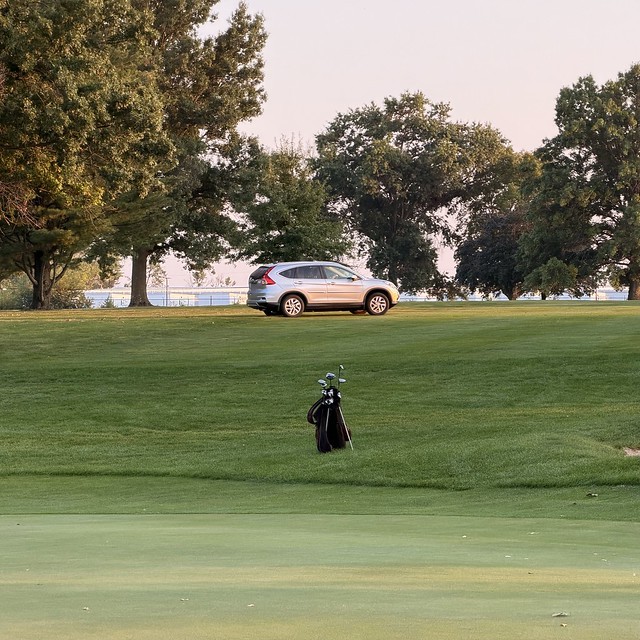 What kind of golf cart is that