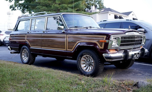 A beautiful woody
