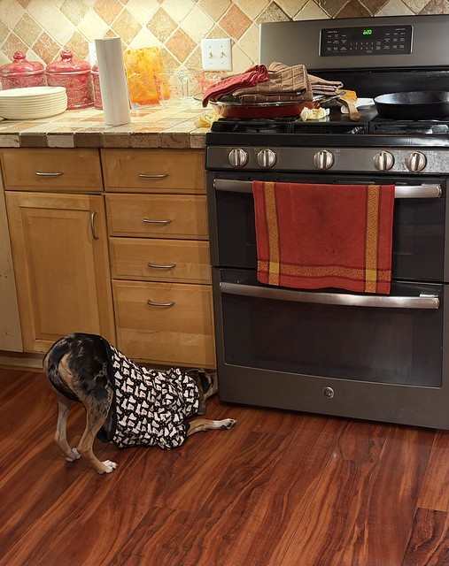 Piper found a Paella leak