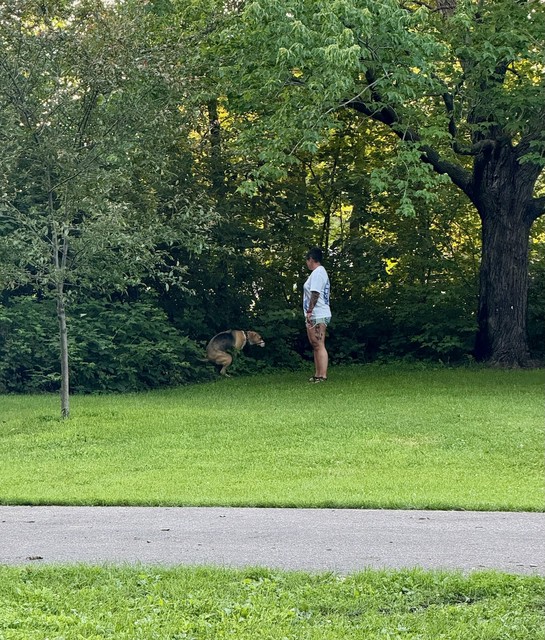 Enjoying Nature