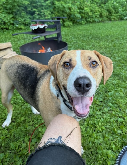 Happy Camper