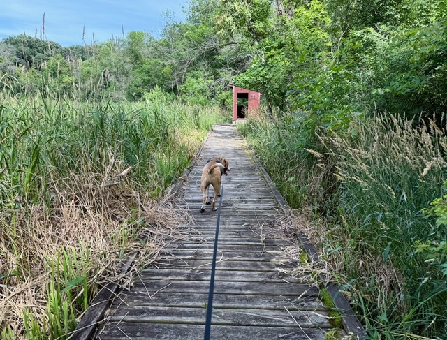 Explorin