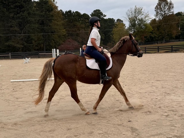 Cara ridin