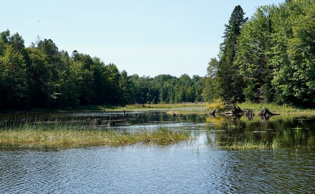 Up 4 mile creek