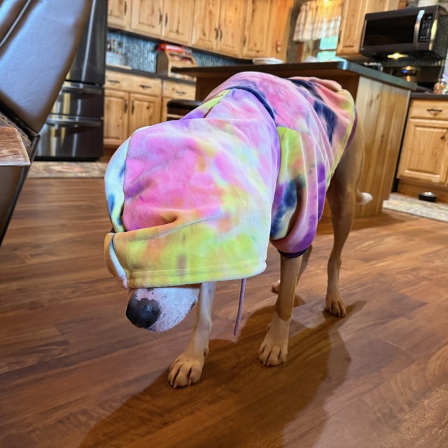 When Durby's hoodie covers his eyes, he becomes paralyzed.