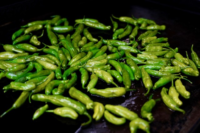 Garden shishitos