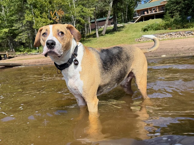 Derpy Durb