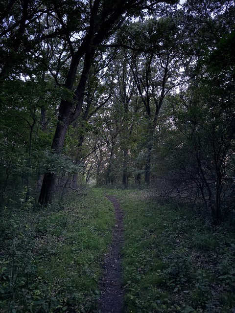 Hikin at Dusk