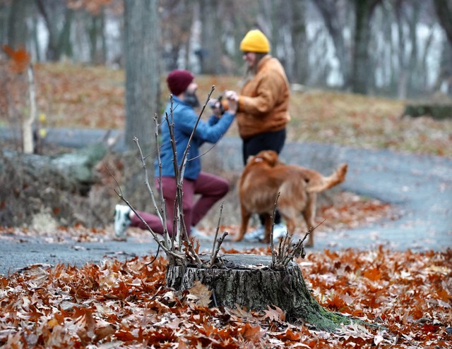 These are really some great sticks