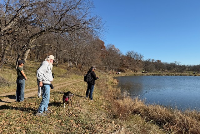 Fishin the ponds at Whiterock