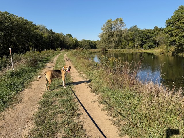 Enjoyin the walk